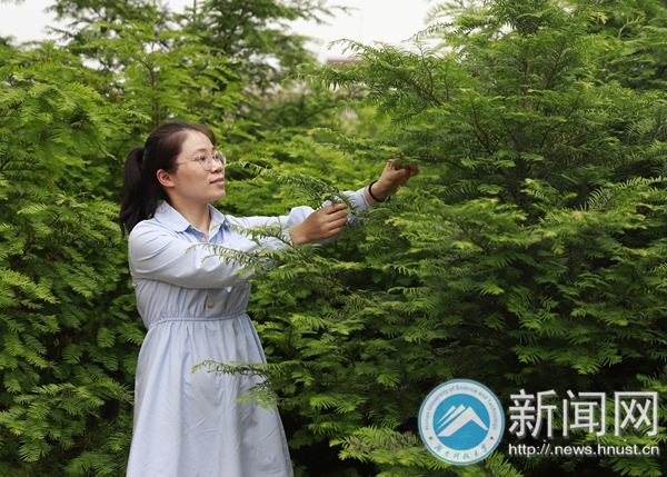 3044am永利集团官网