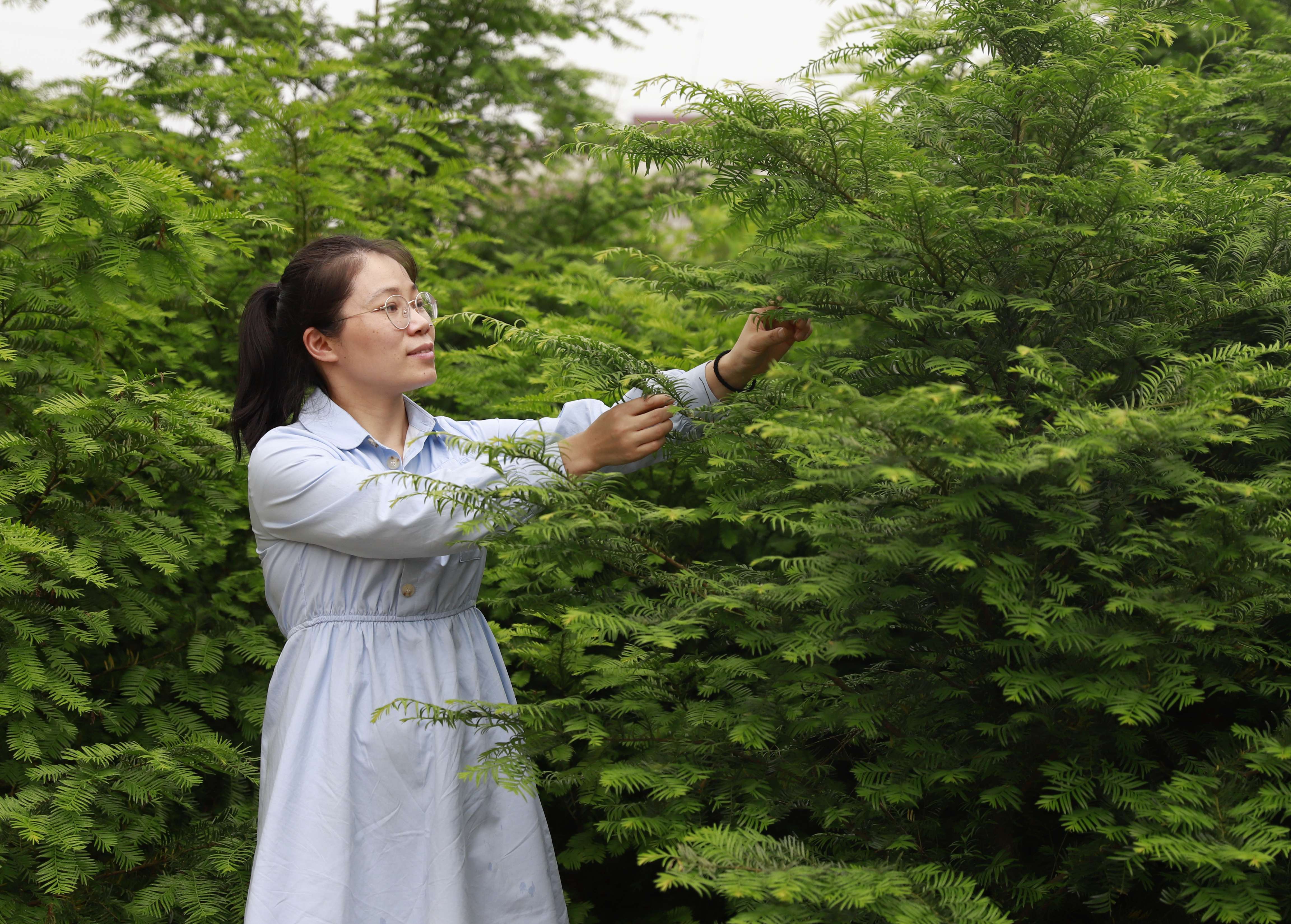 3044am永利集团官网