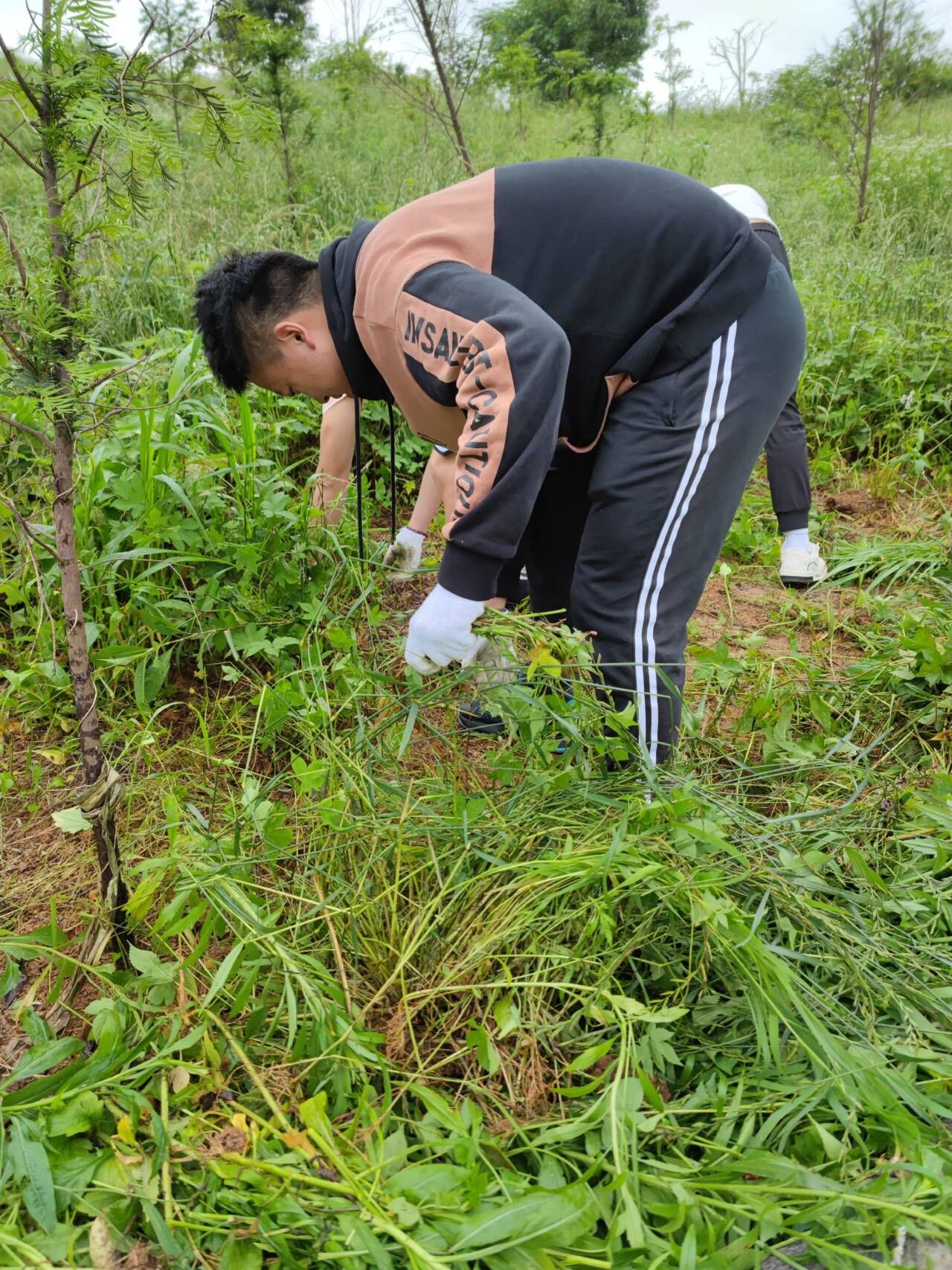 3044am永利集团官网