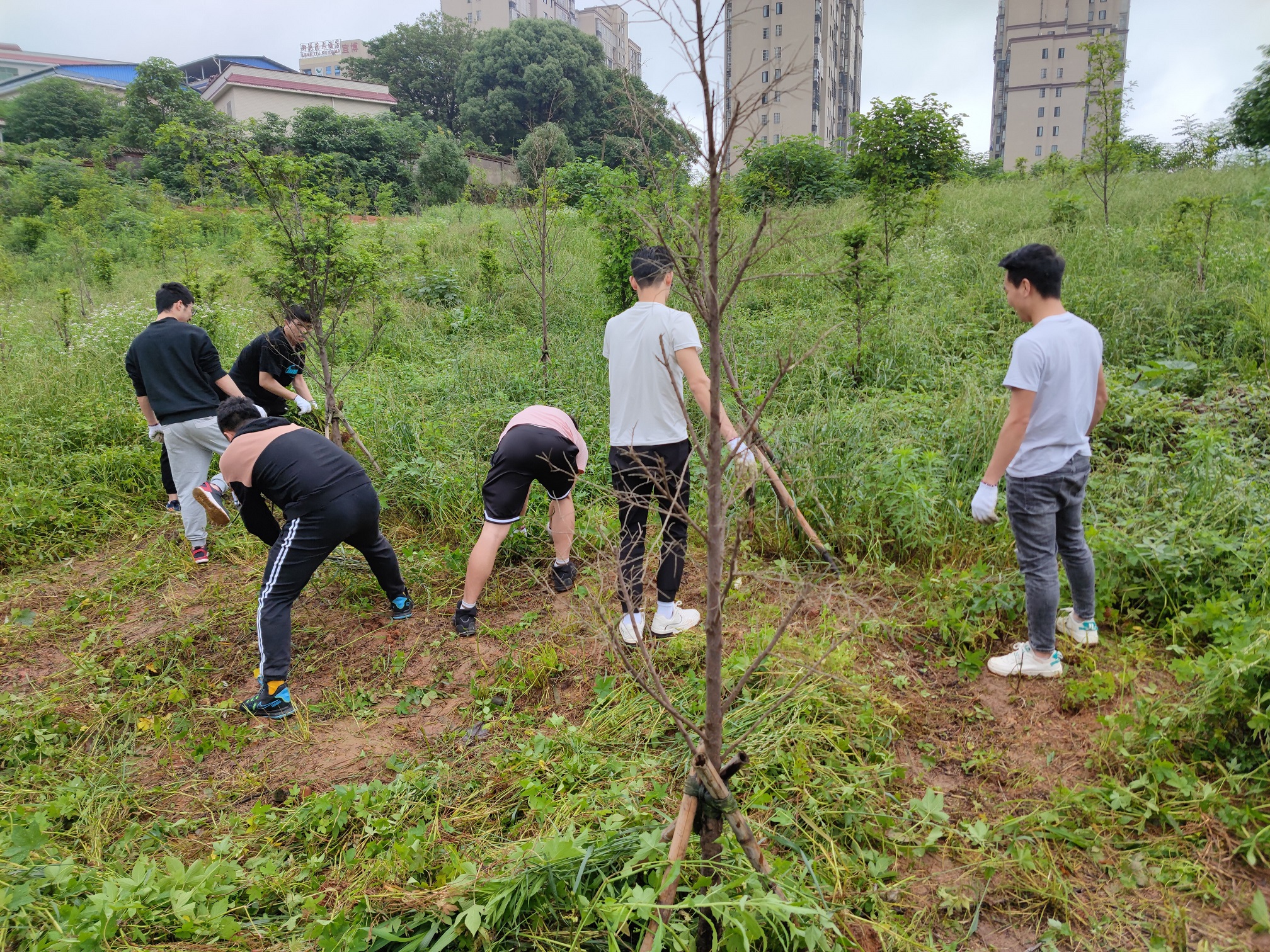 3044am永利集团官网