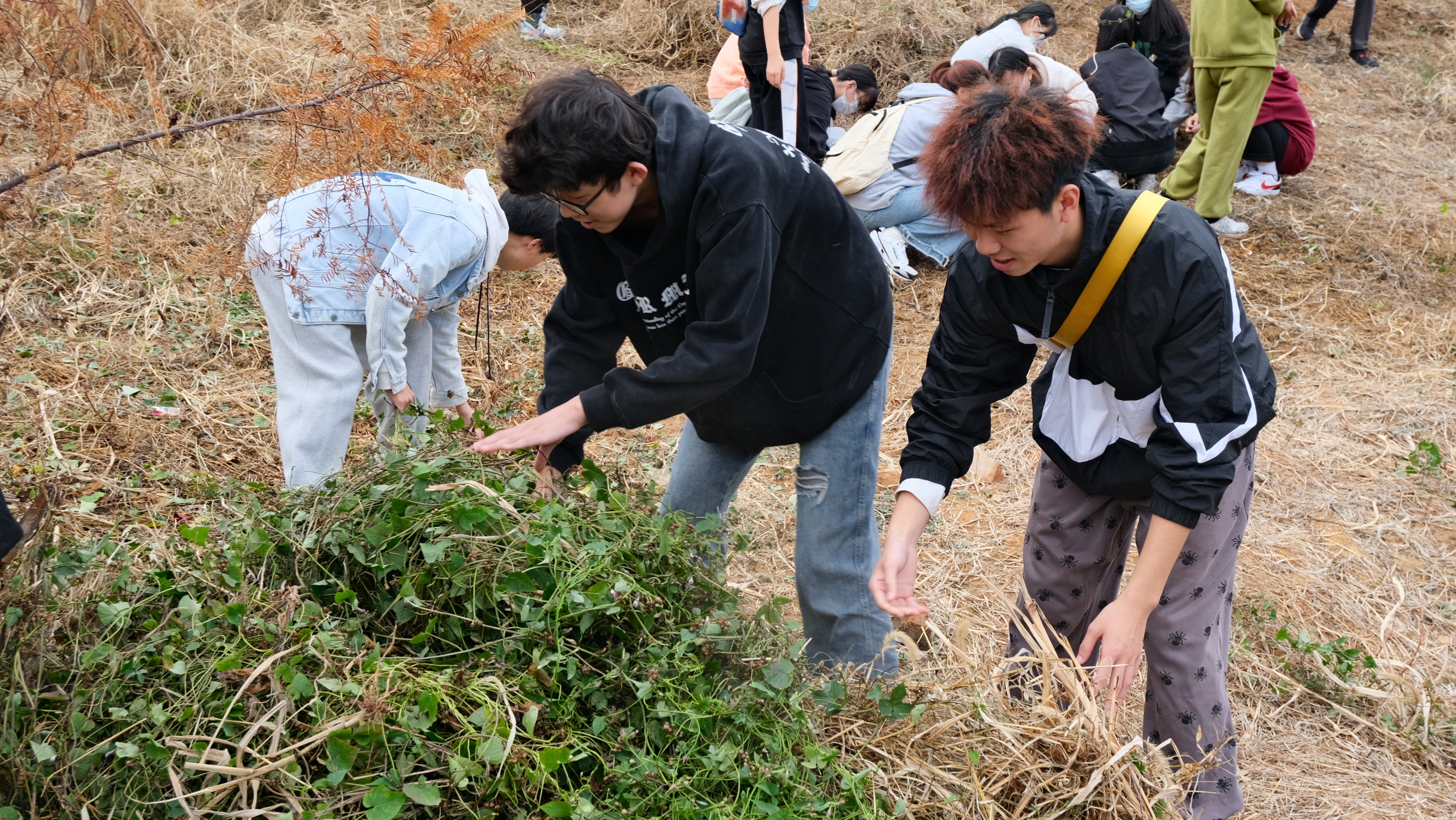 83207eacde244af5aa49ee3c79934ade.jpg 3044am永利集团官网