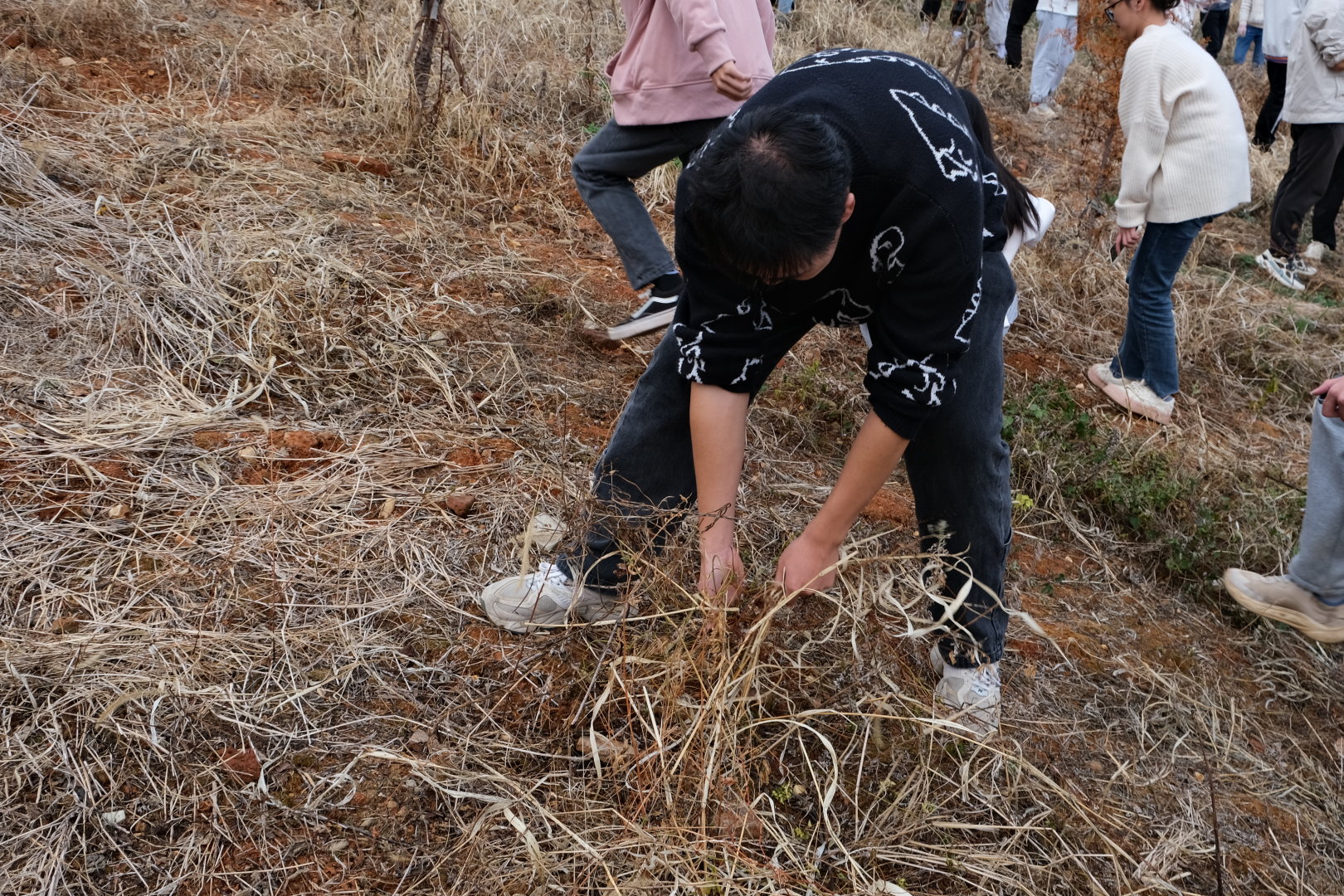 9196f8504ea94bb1b5736234cda2c172.jpg 3044am永利集团官网