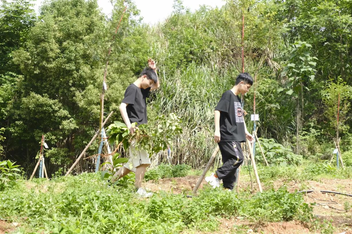 3044am永利集团官网