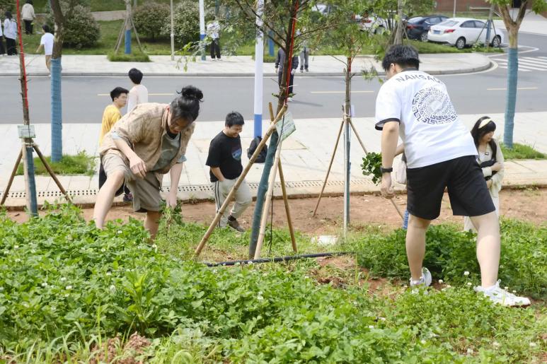 3044am永利集团官网