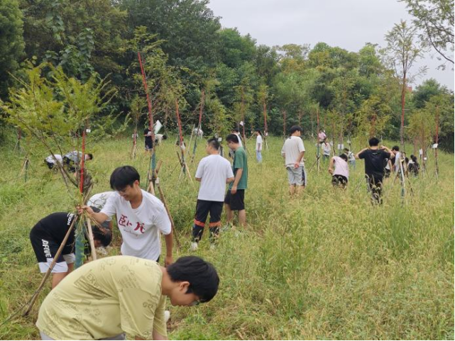 3044am永利集团官网