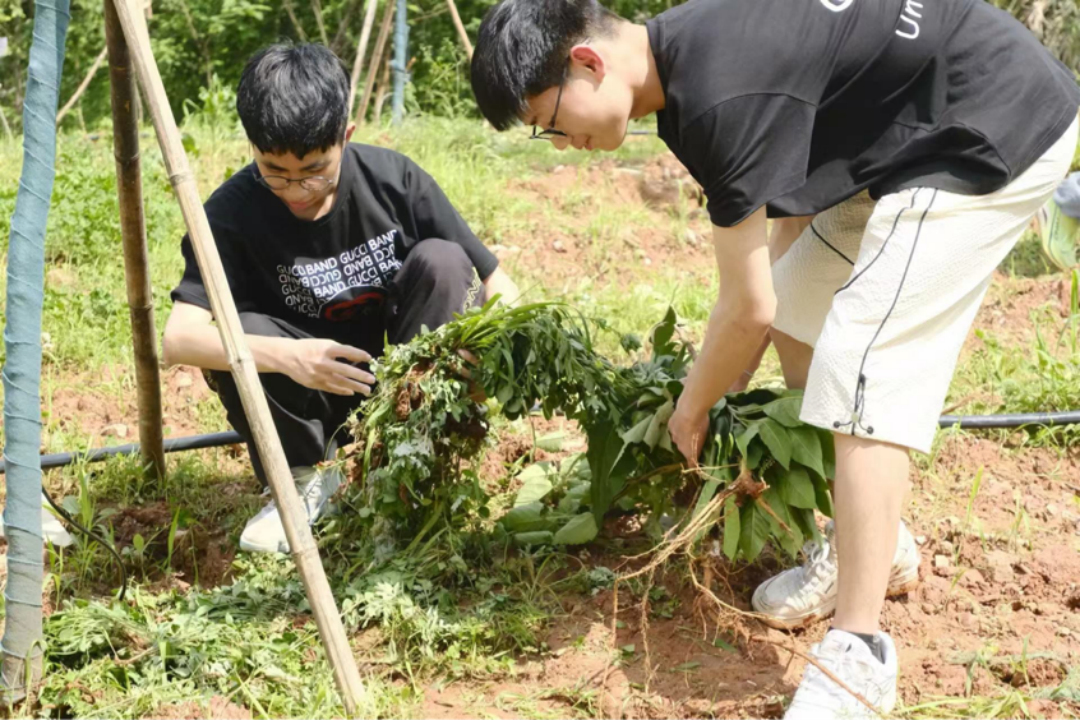 3044am永利集团官网