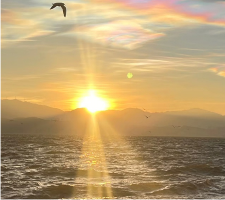 3044am永利集团官网