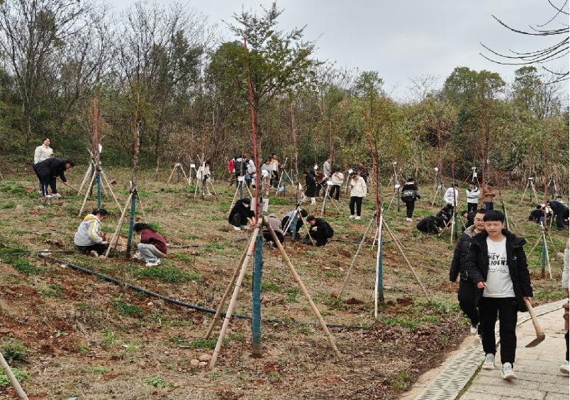 3044am永利集团官网