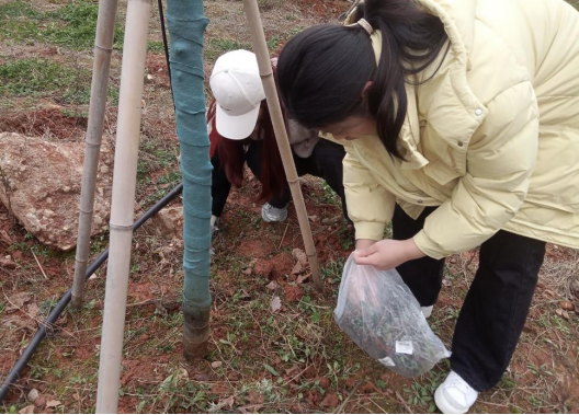 3044am永利集团官网